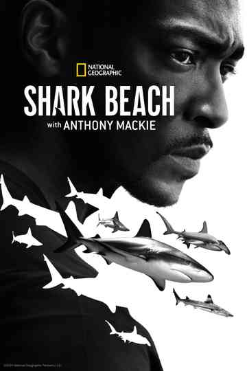 Shark Beach with Anthony Mackie