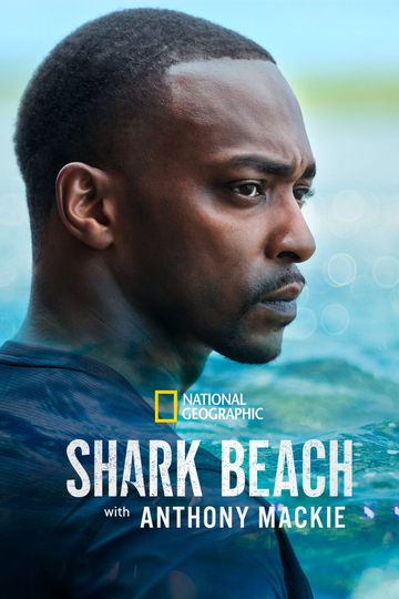 Shark Beach with Anthony Mackie Poster