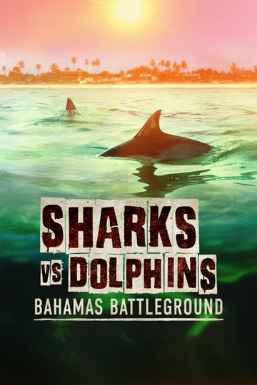 Sharks vs. Dolphins: Bahamas Battleground Poster