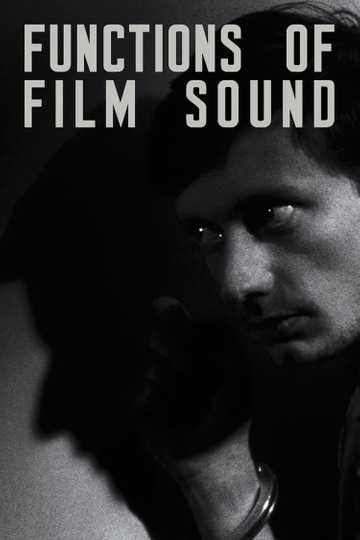 Functions of Film Sound Poster