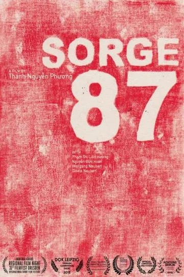 Sorge 87 Poster