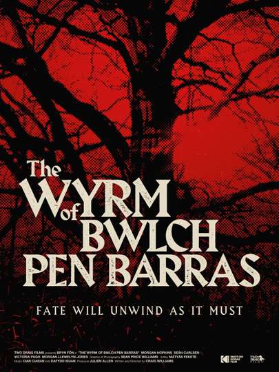 The Wyrm of Bwlch Pen Barras Poster