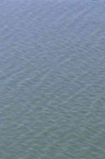 Upstream (into America)