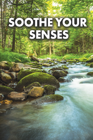 Soothe Your Senses Poster