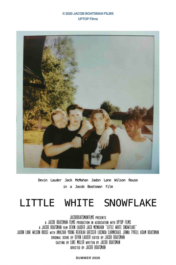 Little White Snowflake Poster