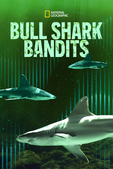 Bull Shark Bandits Poster