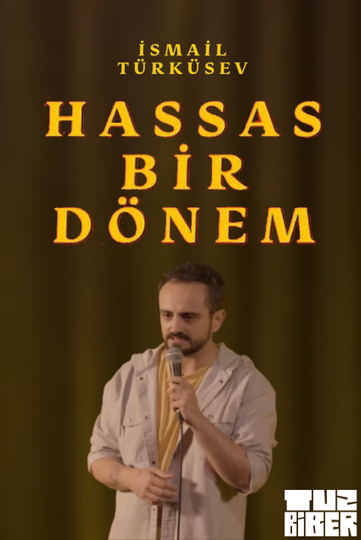 Hassas Bir Dönem - İsmail Türküsev Poster