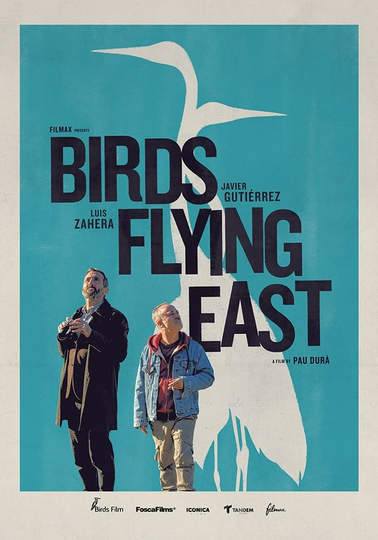 Birds Flying East Poster