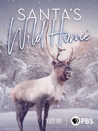 Santa's Wild Home