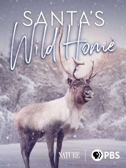 Santa's Wild Home Poster
