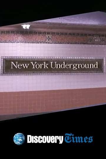 New York Underground Poster