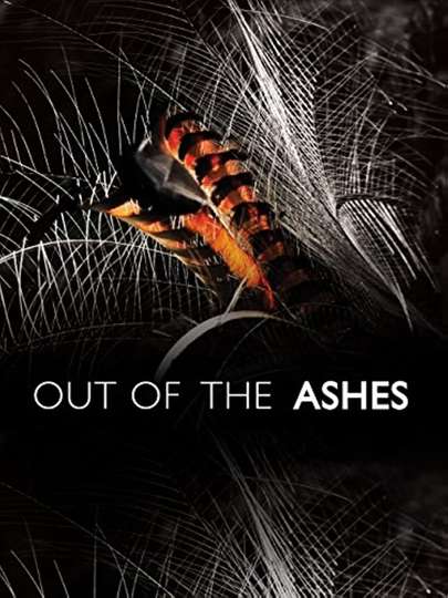 Out of the Ashes Poster