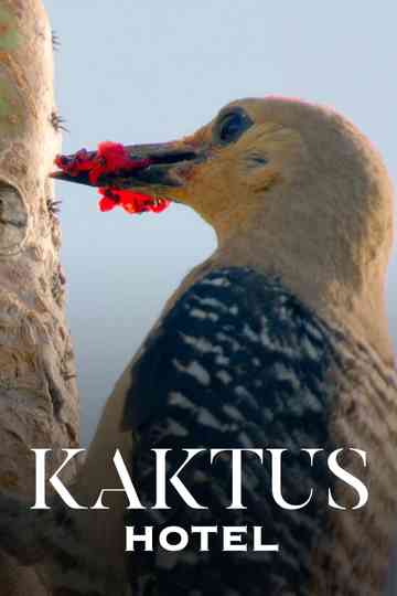 Kaktus Hotel