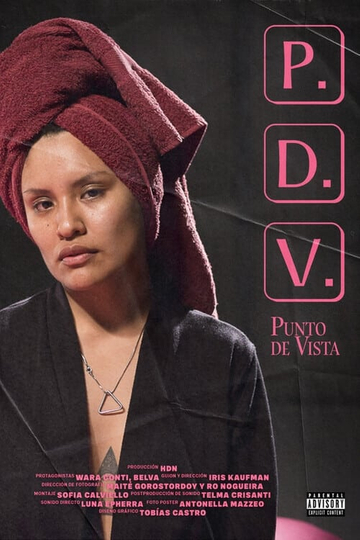 PDV (Punto de vista) Poster