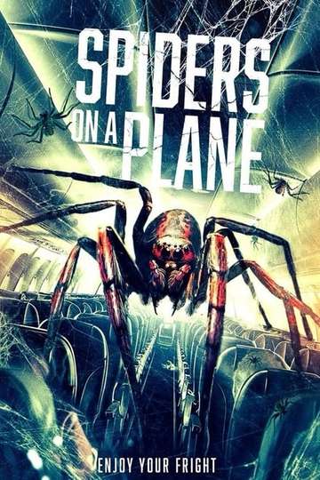 Spiders on a Plane Poster