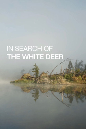 In Search of the White Deer Poster