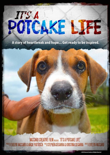 It's a Potcake Life Poster