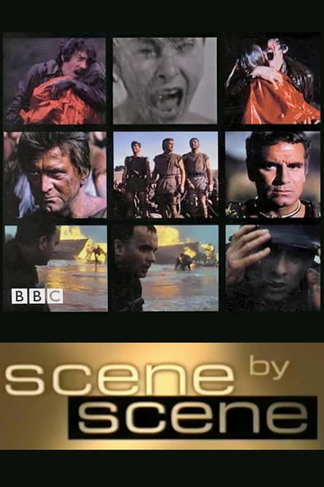 Scene by Scene Poster