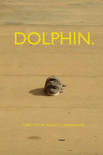 dolphin. Poster