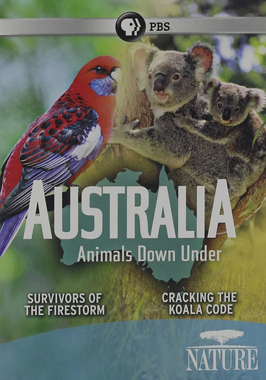 Australia Animals Down Under