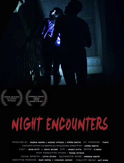 Night Encounters Poster