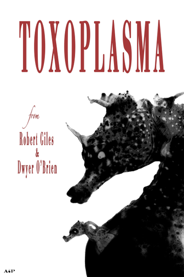 Toxoplasma Poster