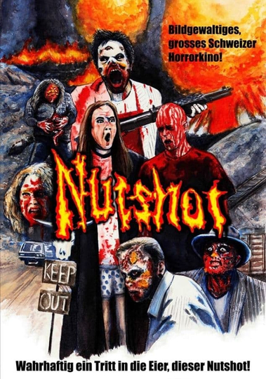 Nutshot Poster