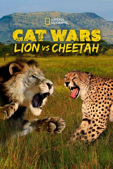 Cat Wars Lion vs Cheetah Poster