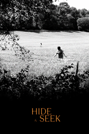 Hide and seek Poster