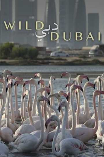 Wild Dubai