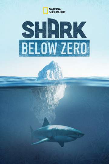 Shark Below Zero Poster