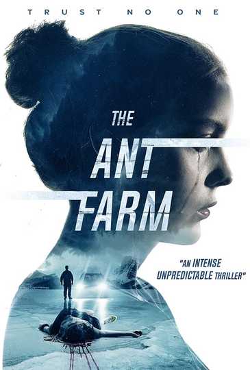 The Ant Farm Poster