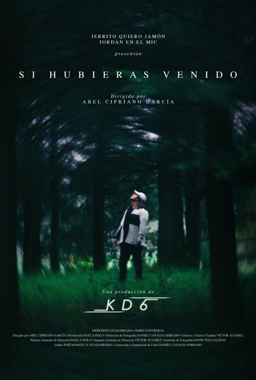 Si hubieras venido Poster