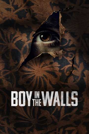 Boy in the Walls Poster