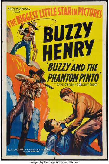 Buzzy and the Phantom Pinto Poster