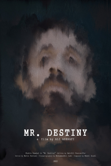 Mr Destiny