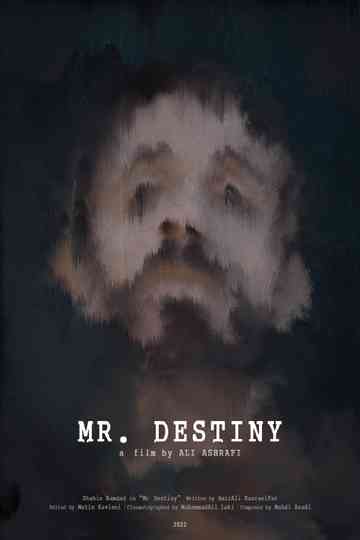 Mr Destiny