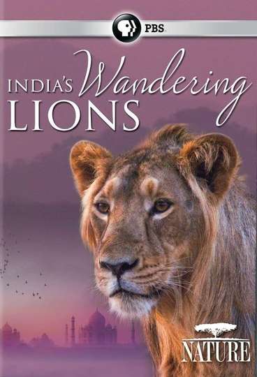 India's Wandering Lions Poster