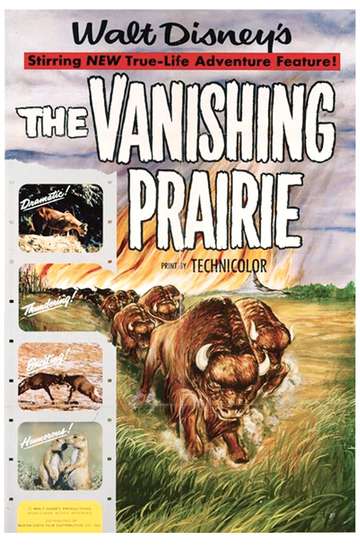 The Vanishing Prairie Poster