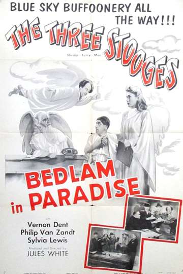 Bedlam in Paradise Poster