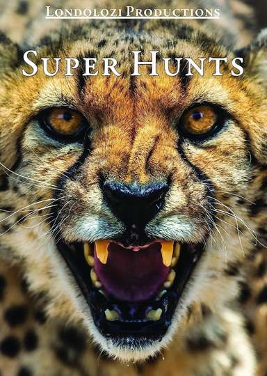 Super Hunts, Super Hunters Poster