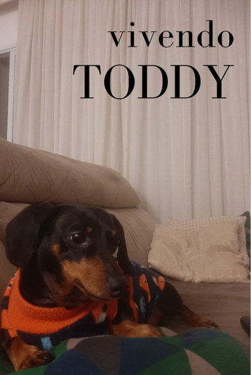 Vivendo Toddy Poster