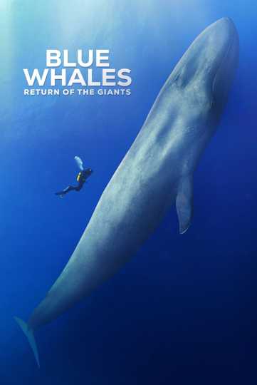 Blue Whales: Return of the Giants Poster