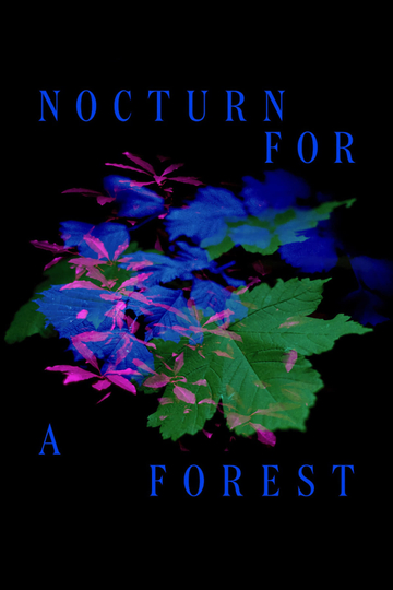 Nocturne for a Forest