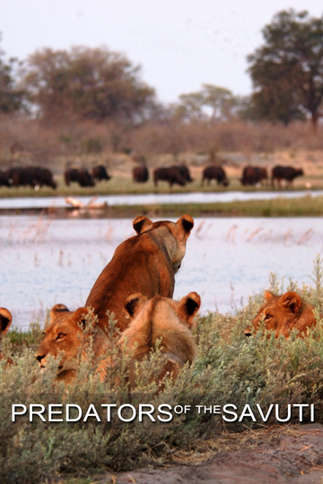 Predators of the Savuti Poster