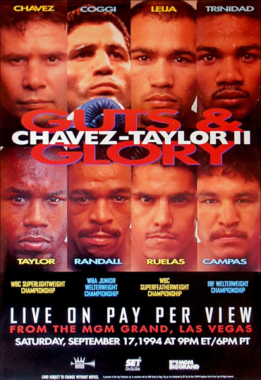 Julio César Chávez vs. Meldrick Taylor II Poster