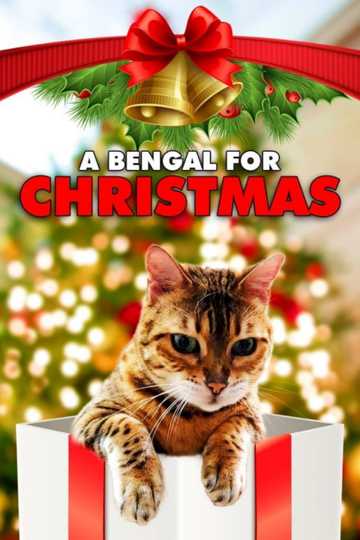 A Bengal for Christmas