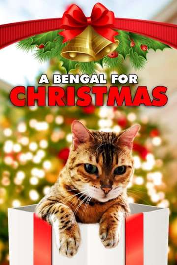 A Bengal for Christmas Poster