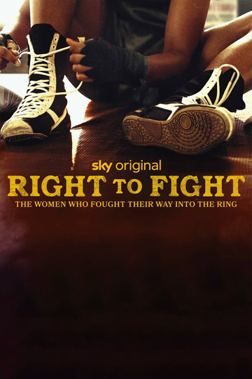 Right to Fight Poster