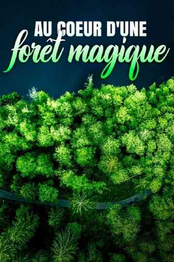 Au cœur d'une forêt magique Poster